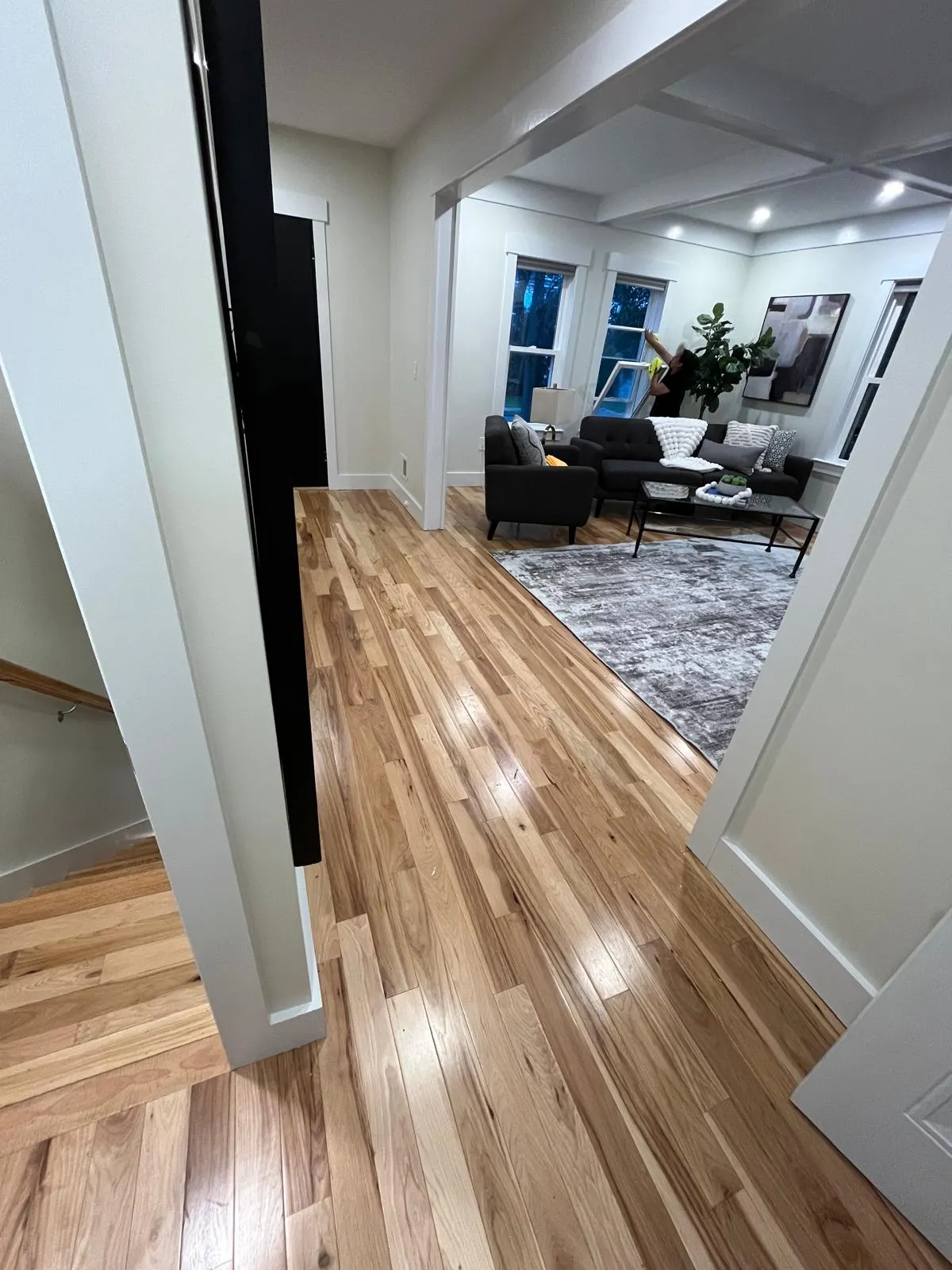 Modern living room interior painting with white trim in Chelsea MA